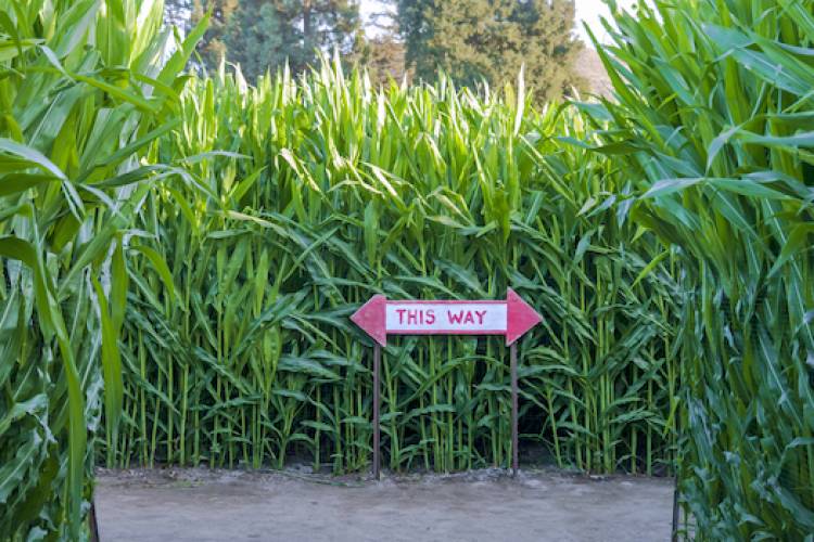 sign in corn maze